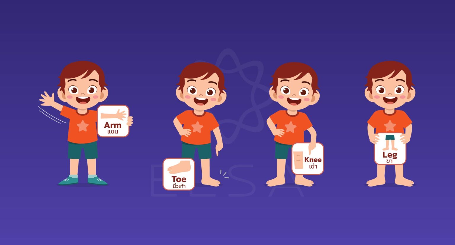 คำศัพท์เกี่ยวกับ ร่างกายภาษาอังกฤษ พร้อมการถอดเสียงที่สมบูรณ์ที่สุด