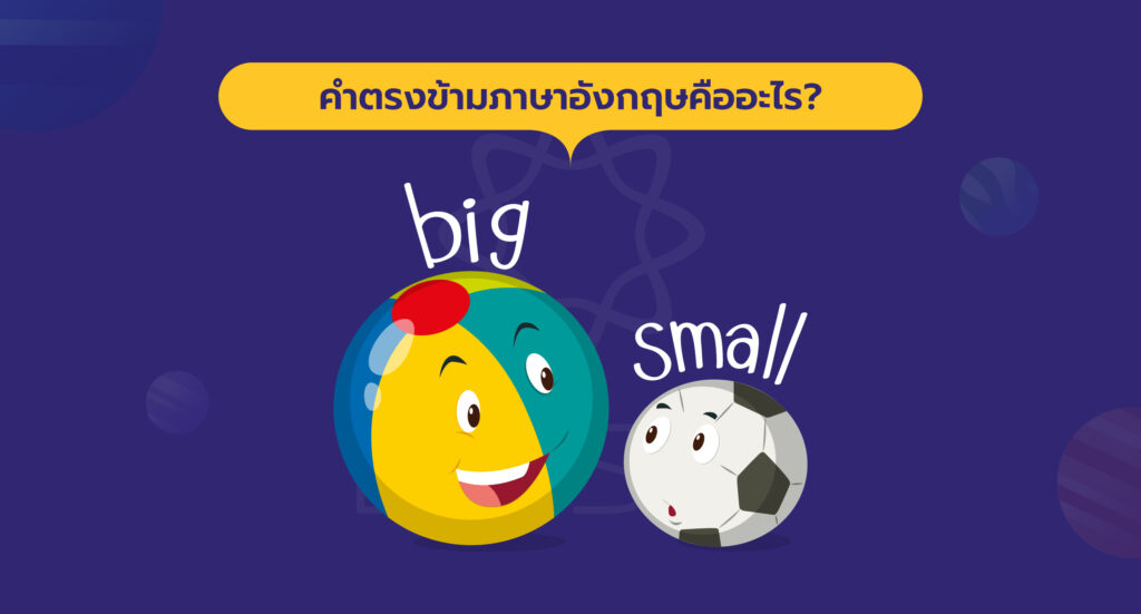 คำตรงข้าม ภาษาอังกฤษ คืออะไร?