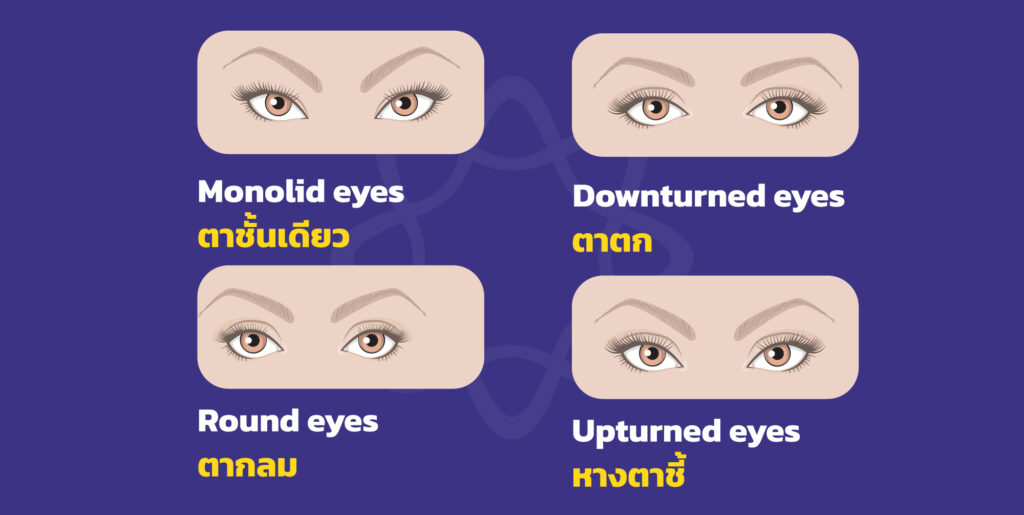 คำศัพท์บรรยายลักษณะดวงตาในภาษาอังกฤษ