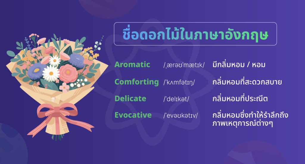 คําเกี่ยวกับดอกไม้ ภาษาอังกฤษ คําอ่าน