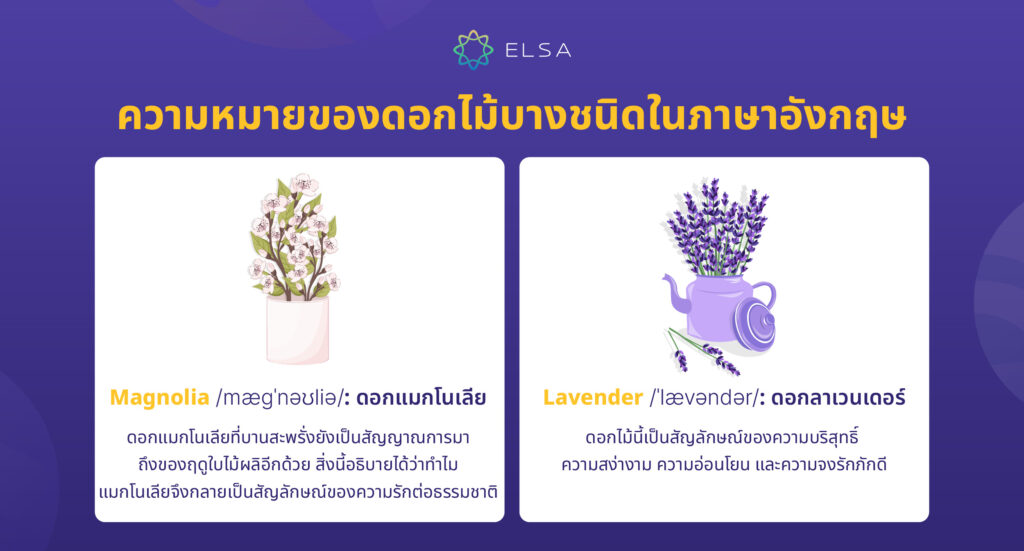 ความหมายของดอกไม้บางชนิดในภาษาอังกฤษ