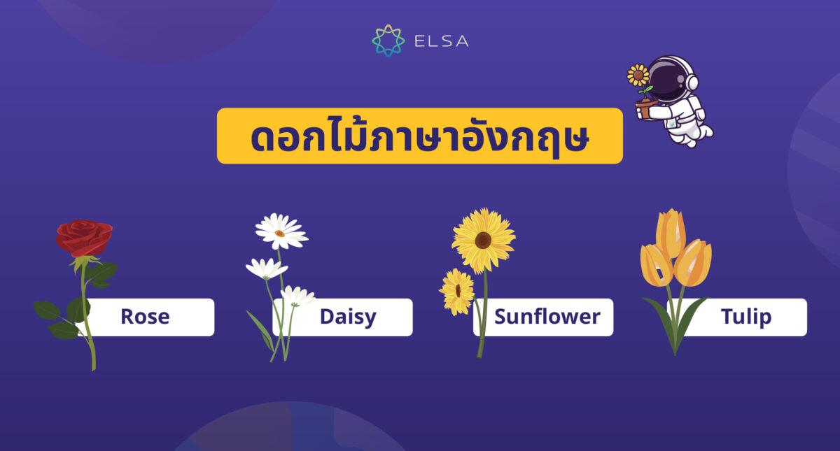 รวมคำศัพท์ดอกไม้ในภาษาอังกฤษกว่า 100 คำที่ใช้บ่อยที่สุดและเป็นที่นิยม