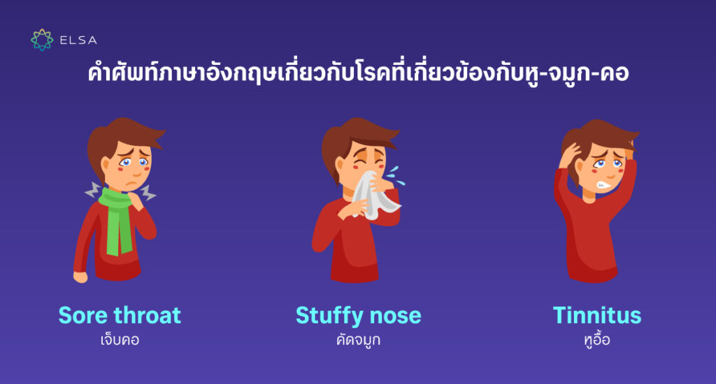 คำศัพท์ภาษาอังกฤษเกี่ยวกับโรคที่เกี่ยวข้องกับหู-จมูก-คอ