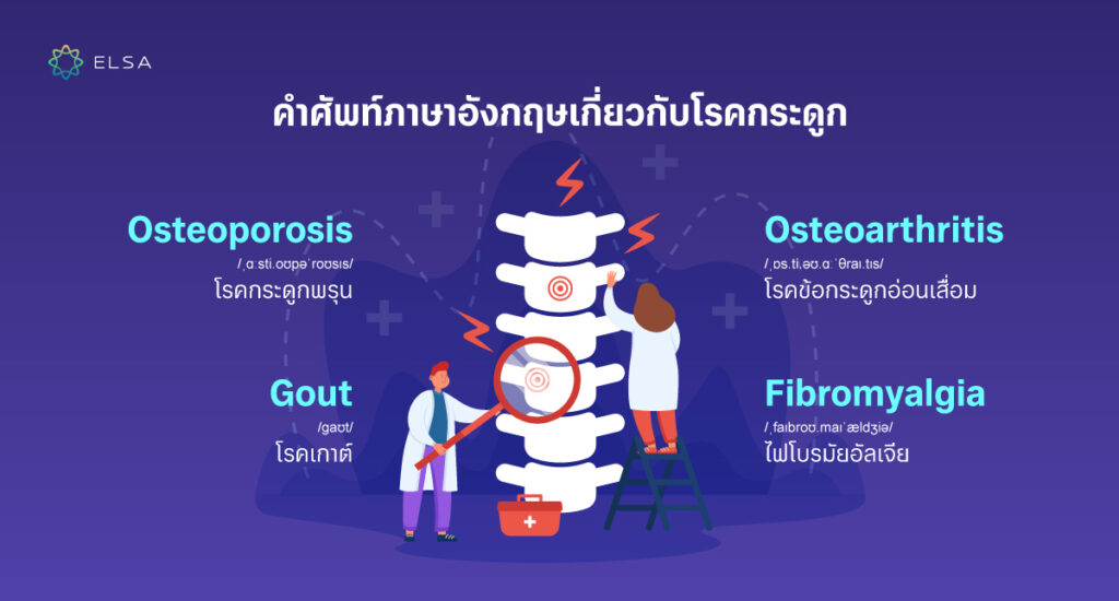 คำศัพท์ภาษาอังกฤษเกี่ยวกับโรคกระดูก