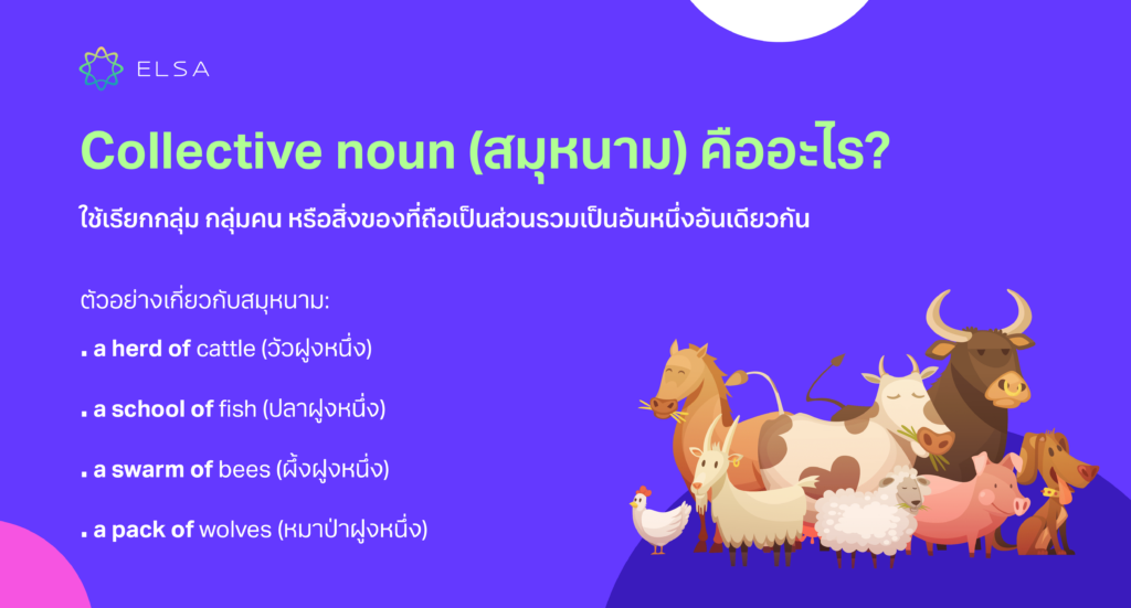 collective noun คืออะไร