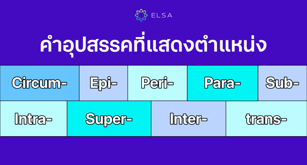 prefix suffix แสดงตำแหน่ง