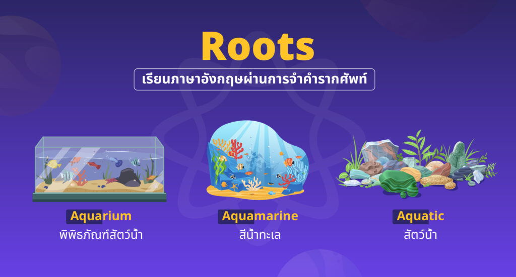 ใช้เทคนิคการจำรากศัพท์ (Roots)