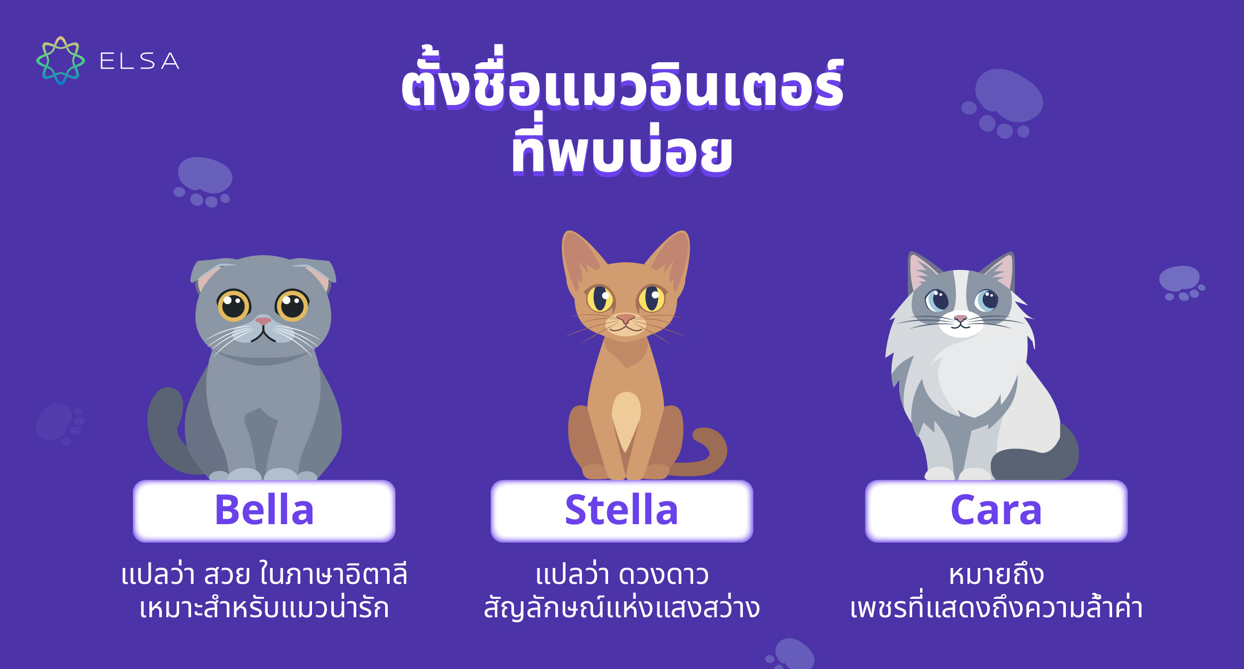 ตั้งชื่อแมวอินเตอร์ ที่พบบ่อย ตั้งชื่อแมวอินเตอร์ ที่พบบ่อย