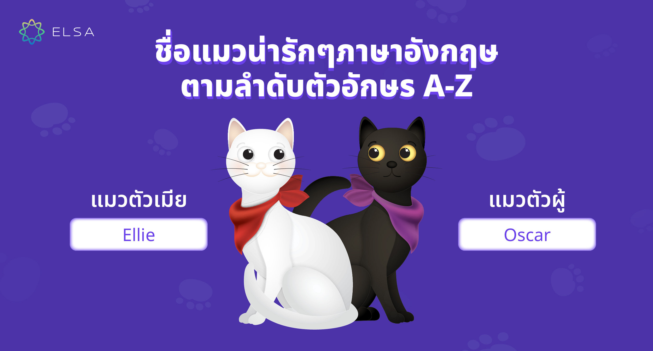 ชื่อแมวน่ารักๆ อังกฤษ ตามลำดับตัวอักษร A-Z ชื่อแมวน่ารักๆ อังกฤษ ตามลำดับตัวอักษร A-Z