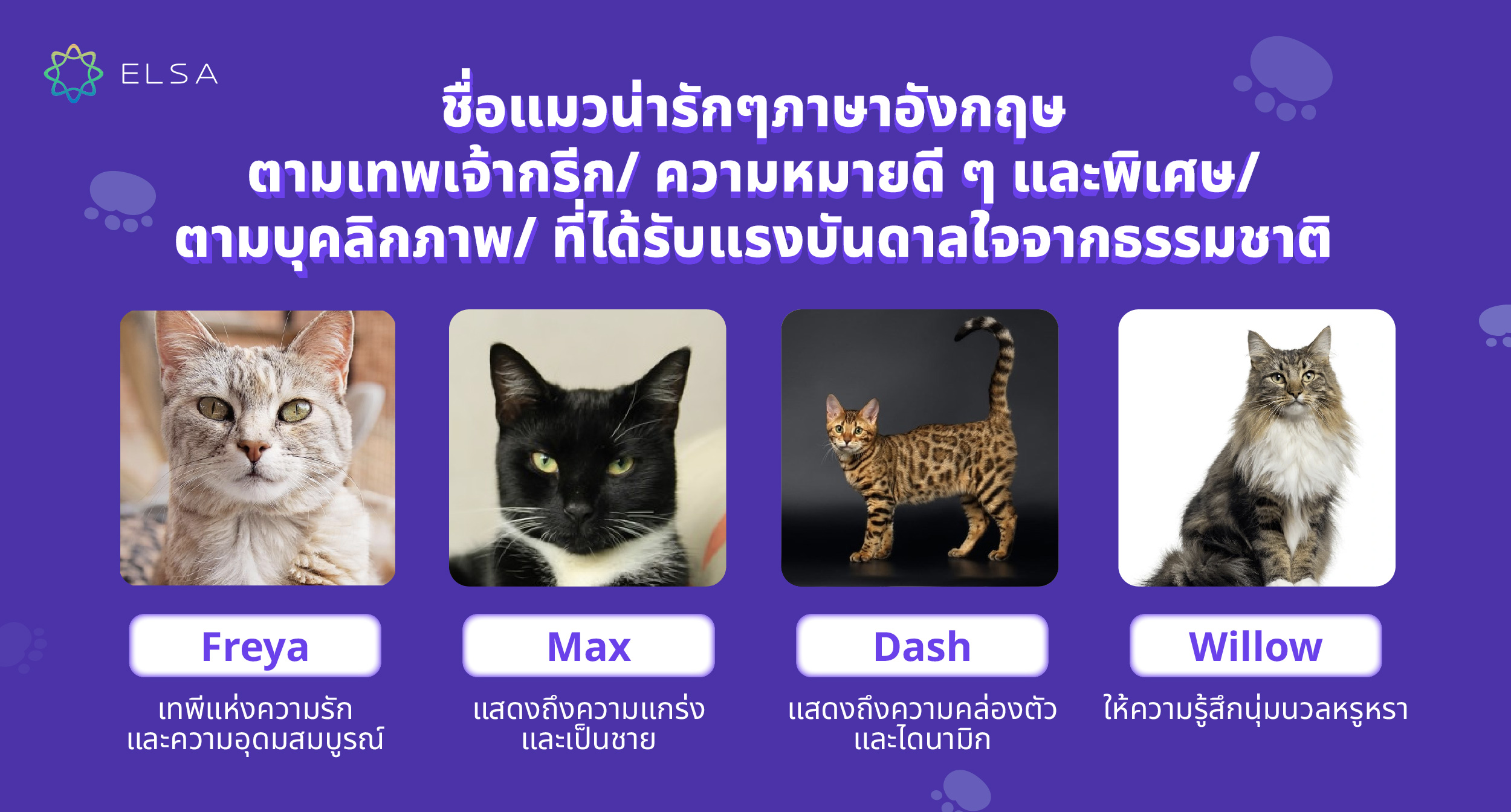 ชื่อแมวน่ารักๆ อังกฤษ ตามเทพเจ้ากรีก ชื่อแมวน่ารักๆ อังกฤษ ตามเทพเจ้ากรีก