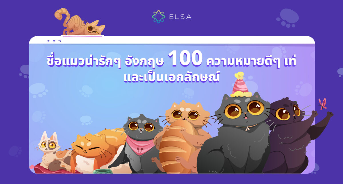 ชื่อแมวน่ารักๆ อังกฤษ 100+ ความหมายดีๆ เท่ และเป็นเอกลักษณ์