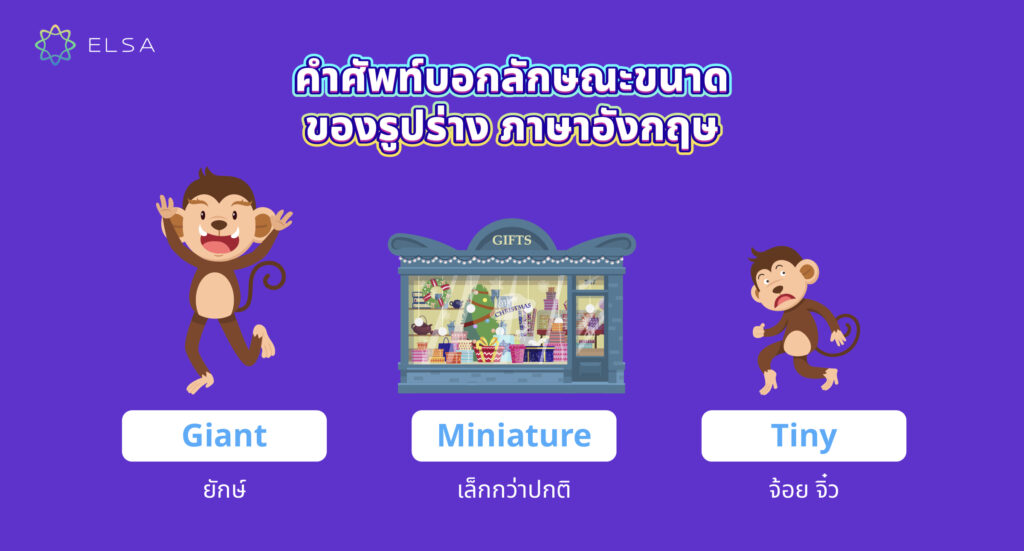 คำศัพท์บอกลักษณะ ขนาดของรูปร่าง ภาษาอังกฤษ คำศัพท์บอกลักษณะ ขนาดของรูปร่าง ภาษาอังกฤษ