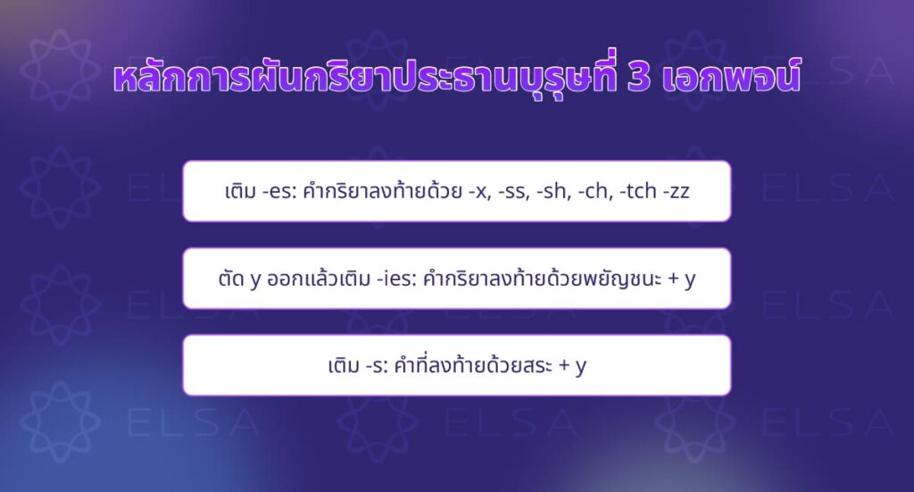 Subject verb agreement การใช้