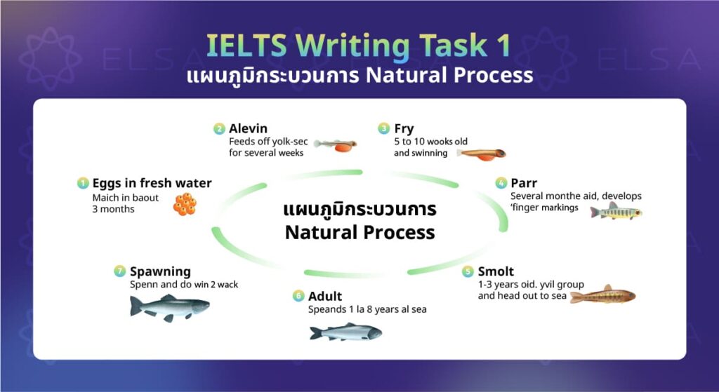 แผนภูมิ Natural Process แผนภูมิ Natural Process