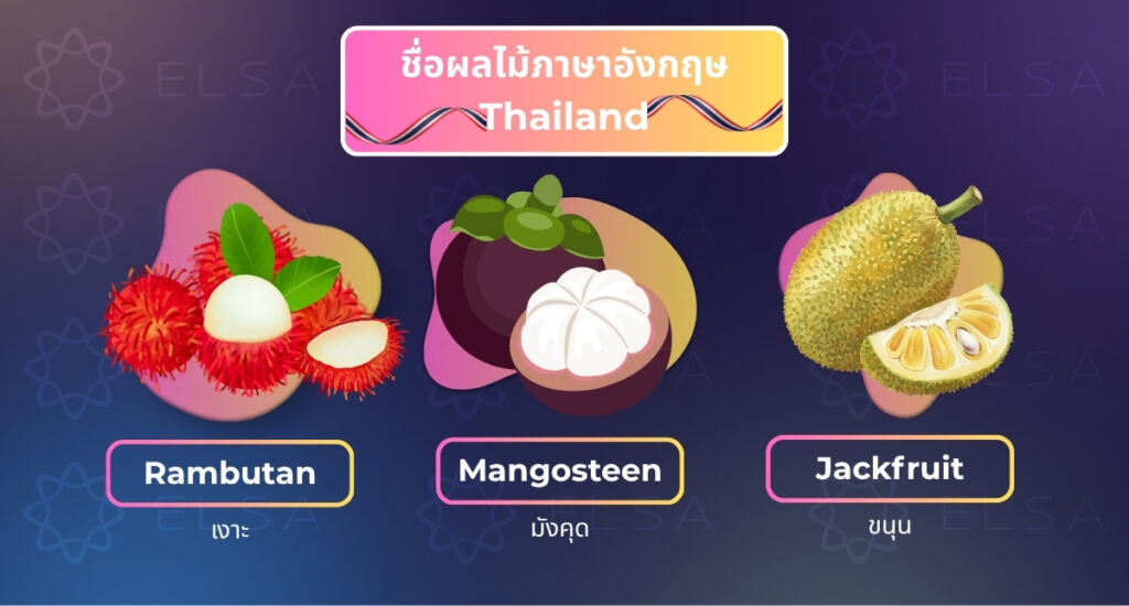 ชื่อผล ไม้ ไทย ภาษา อังกฤษ ที่คุณควรรู้