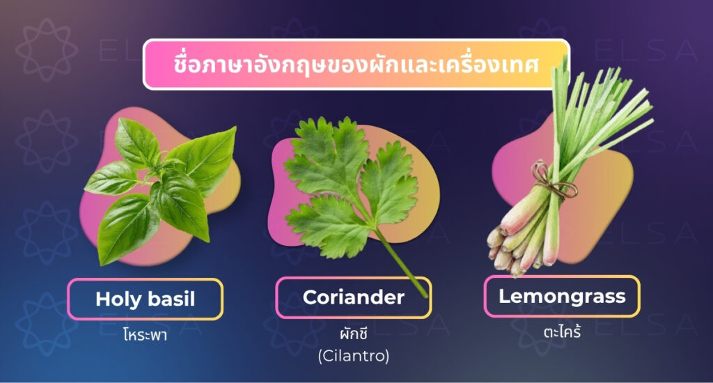 ชื่อภาษาอังกฤษของผักและเครื่องเทศ