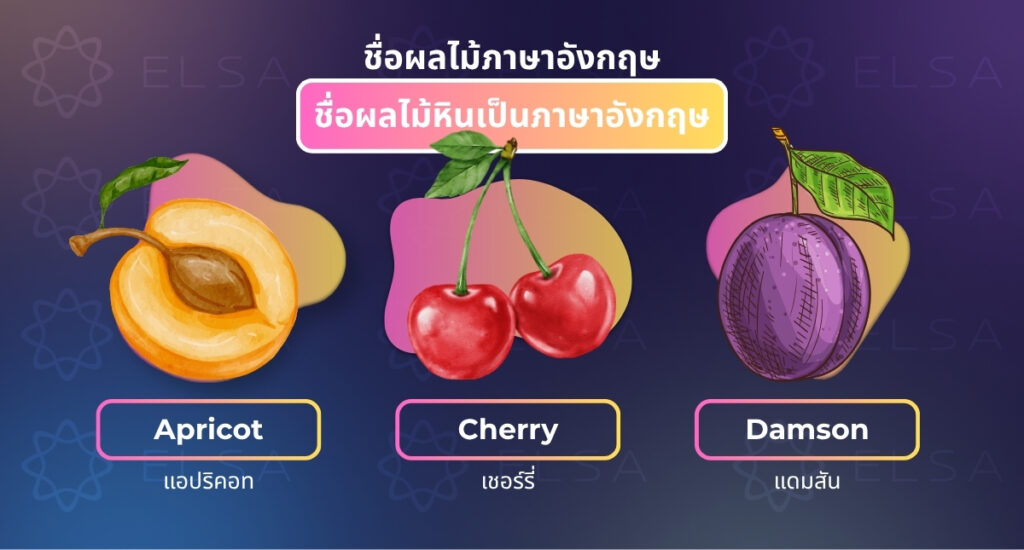 ชื่อผลไม้ที่มีเมล็ดแข็งเป็นภาษาอังกฤษ