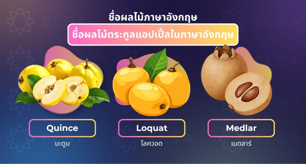 ชื่อผลไม้ตระกูลแอปเปิ้ลในภาษาอังกฤษ