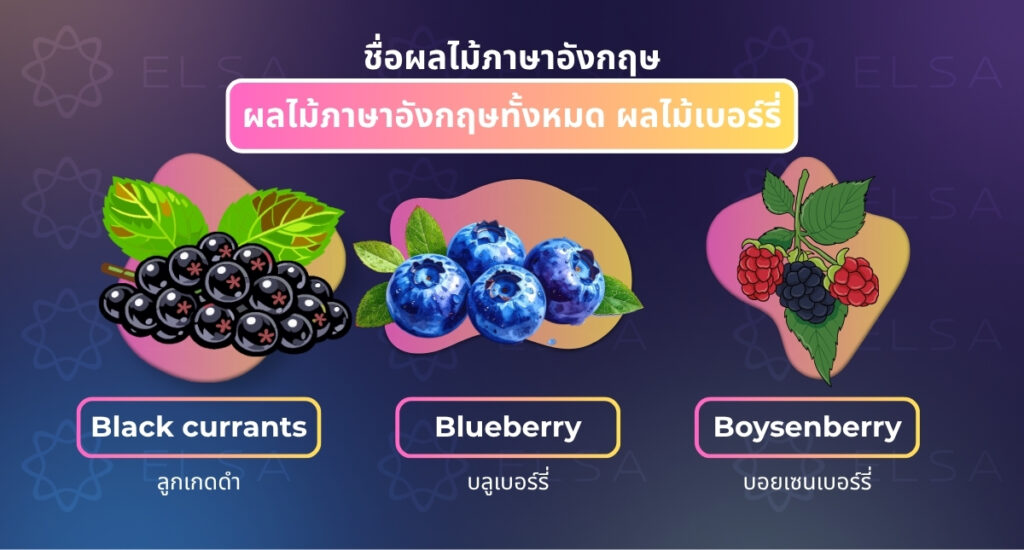 ผลไม้ภาษาอังกฤษทั้งหมด ผลไม้เบอร์รี่