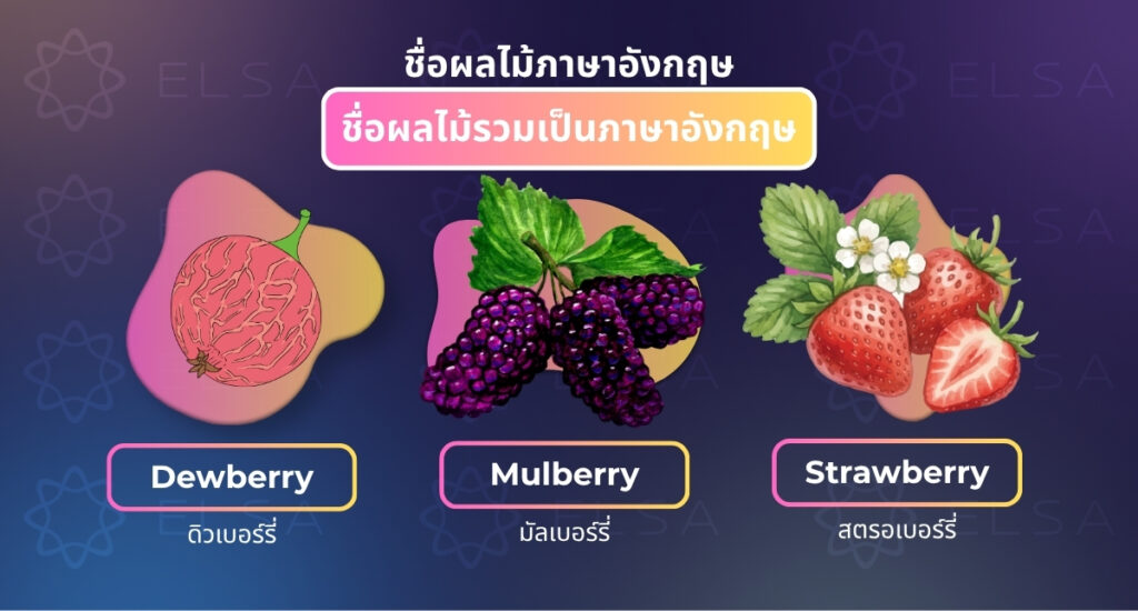 ชื่อผลไม้รวมเป็นภาษาอังกฤษ 