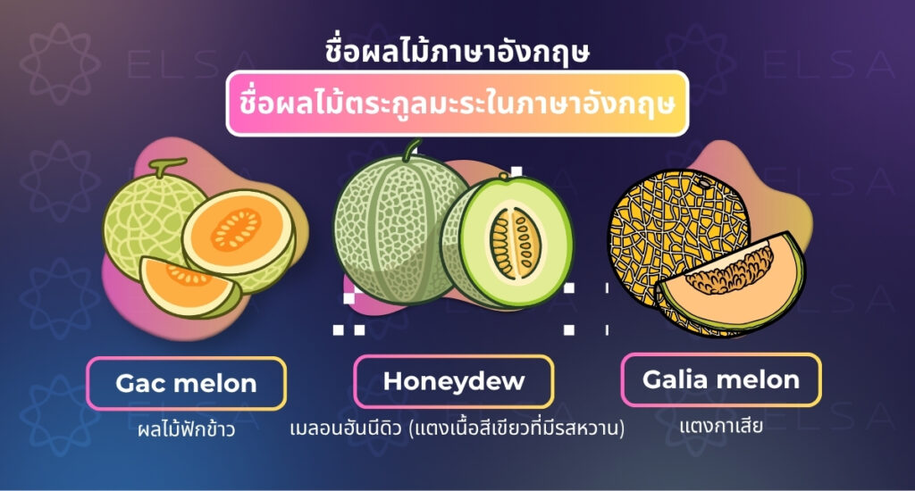 ชื่อผลไม้ตระกูลแตงในภาษาอังกฤษ
