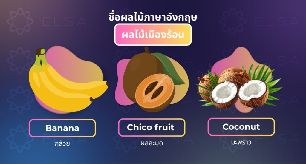 ผลไม้เมืองร้อน