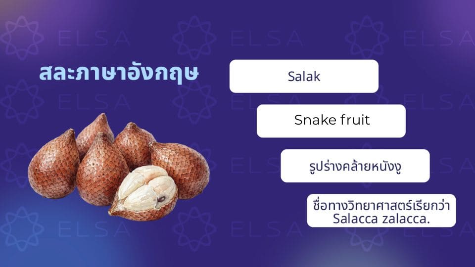 สละ ภาษาอังกฤษ คืออะไร? สละ ภาษาอังกฤษ คืออะไร?