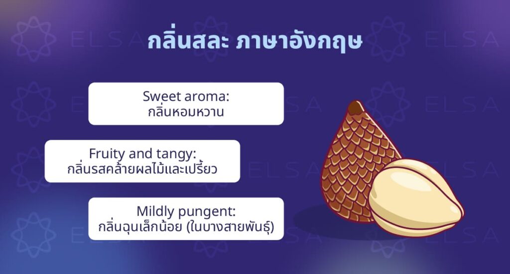 กลิ่นสละ ภาษาอังกฤษ กลิ่นสละ ภาษาอังกฤษ