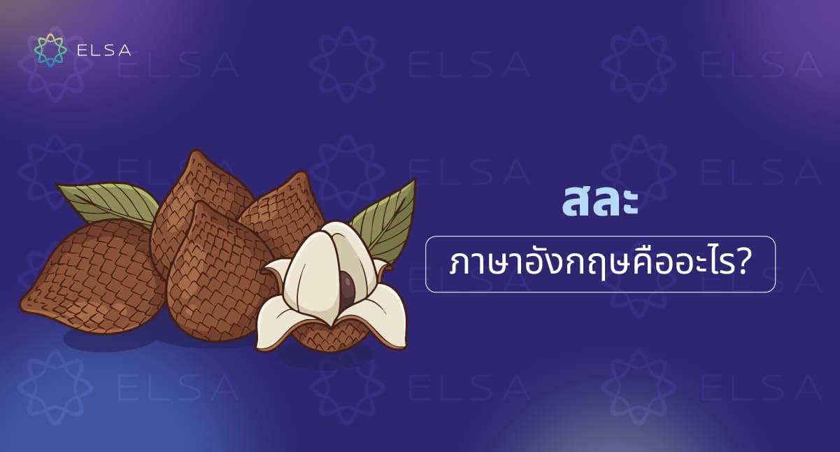 สละ ภาษาอังกฤษ คืออะไร? ชื่อเรียกและวิธีใช้งานที่ถูกต้อง