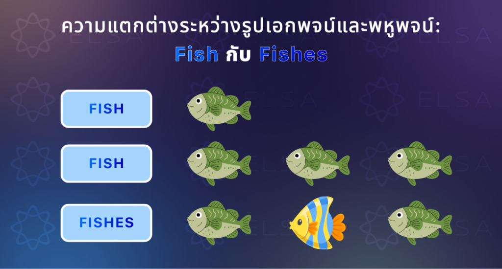 ความแตกต่างระหว่างรูปเอกพจน์และพหูพจน์: Fish กับ Fishes