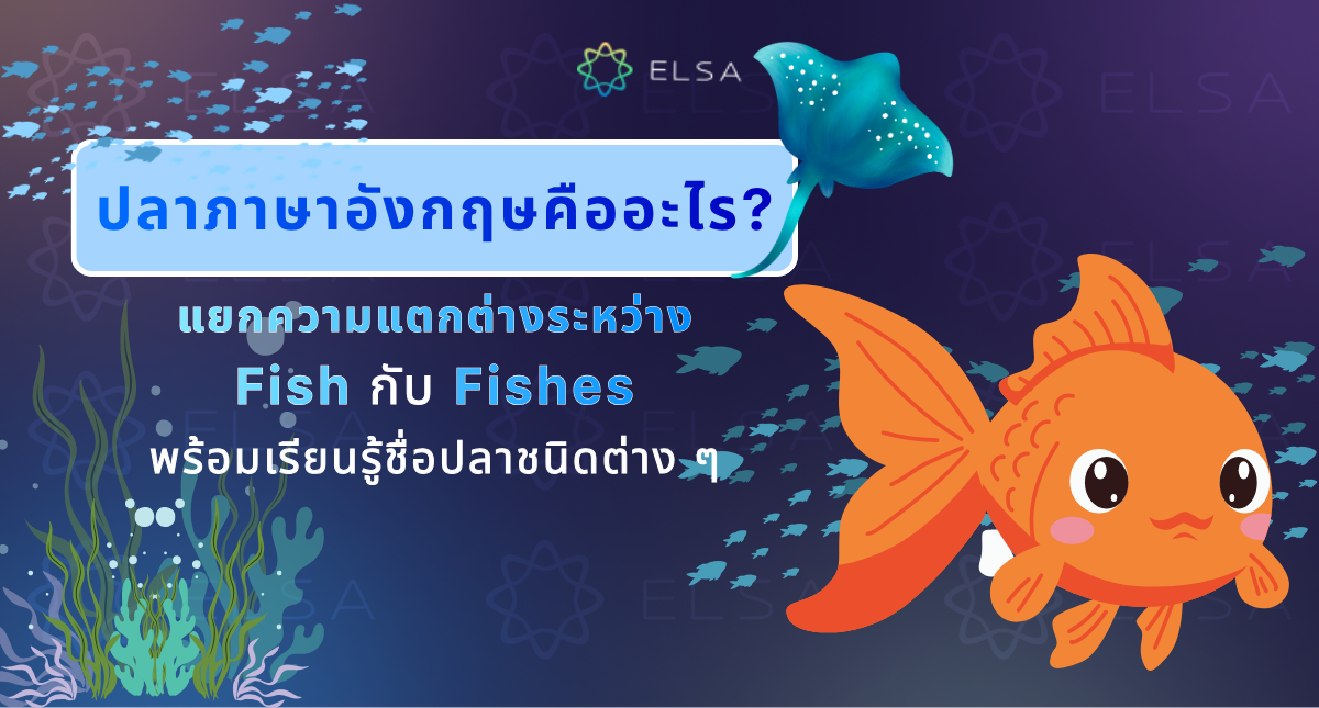 ปลาภาษาอังกฤษคืออะไร? แยกความแตกต่างระหว่าง Fish กับ Fishes พร้อมเรียนรู้ชื่อปลาชนิดต่าง ๆ