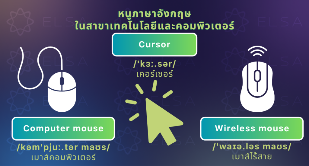 หนูภาษาอังกฤษในสาขาเทคโนโลยีและคอมพิวเตอร์