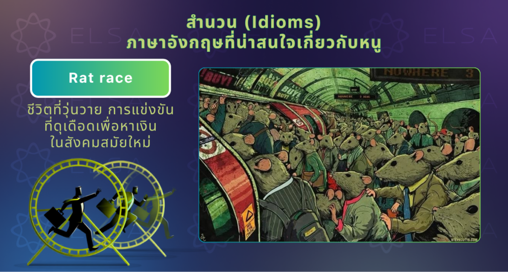 สำนวนภาษาอังกฤษเกี่ยวกับหนู