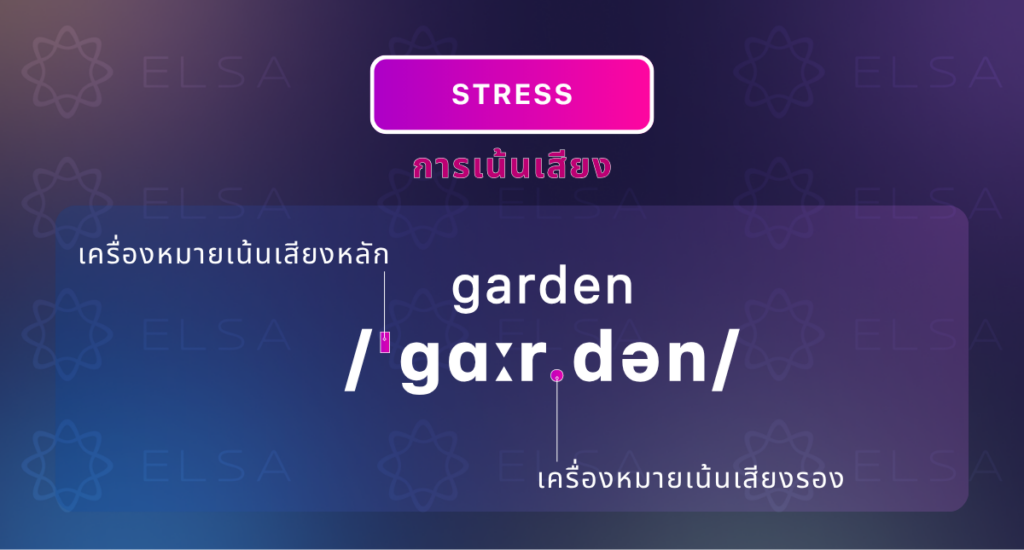 การเน้นเสียง (Stress) ภาษาอังกฤษ การเน้นเสียง (Stress) ภาษาอังกฤษ