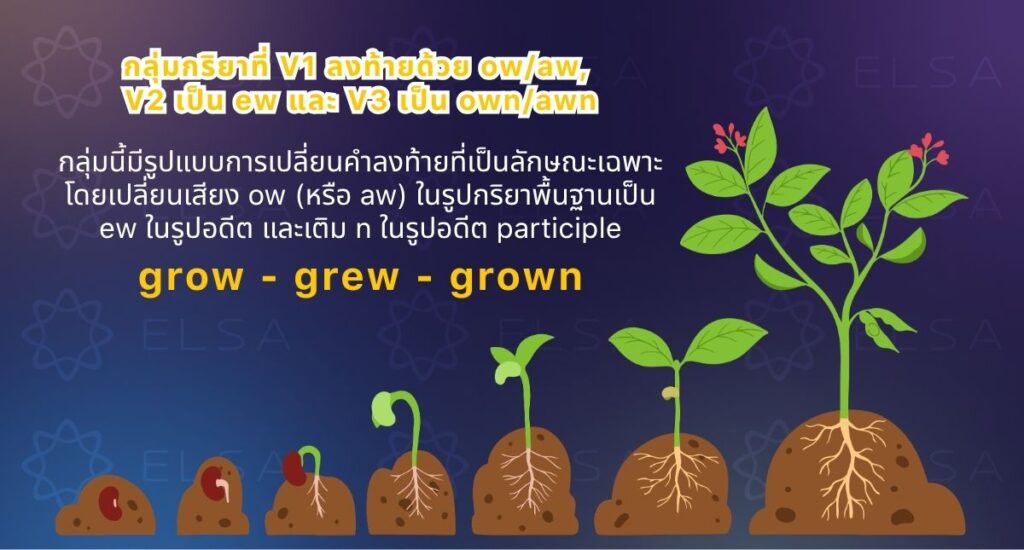กลุ่มกริยาที่ V1 ลงท้ายด้วย ow/aw, V2 เป็น ew และ V3 เป็น own/awn