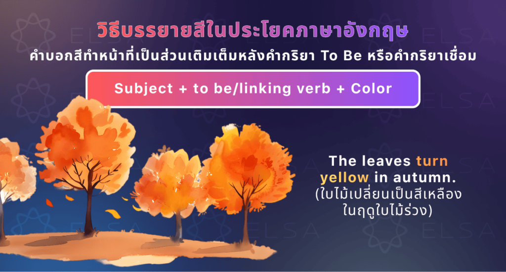 วิธีบรรยายสีในประโยคภาษาอังกฤษ