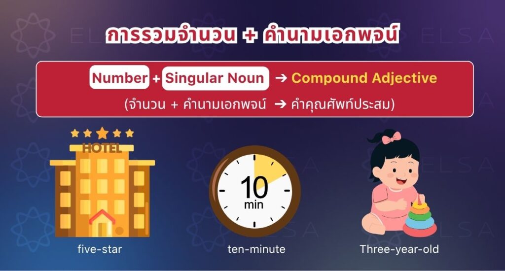 สร้างคำคุณศัพท์ประสมโดยการรวมจำนวนกับคำนามเอกพจน์