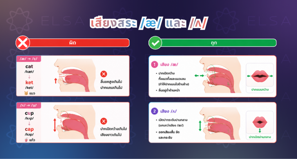 การออกเสียงสระภาษาอังกฤษ /æ/ และ /ʌ/ การออกเสียงสระภาษาอังกฤษ /æ/ และ /ʌ/