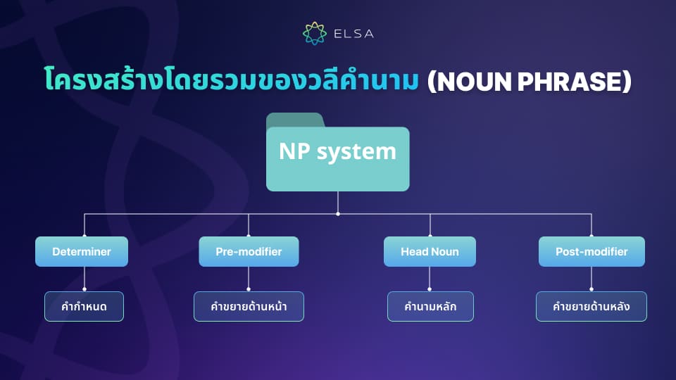 องค์ประกอบต่าง ๆ ที่ใช้ประกอบเป็น Noun Phrase องค์ประกอบต่าง ๆ ที่ใช้ประกอบเป็น Noun Phrase
