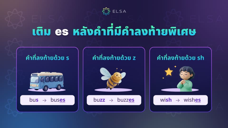 หลักการเติม es หลังคำที่มีคำลงท้ายพิเศษ