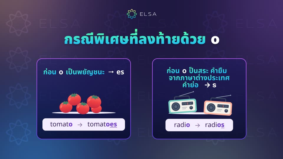 กรณีเติม s es ด้วย o กรณีเติม s es ด้วย o