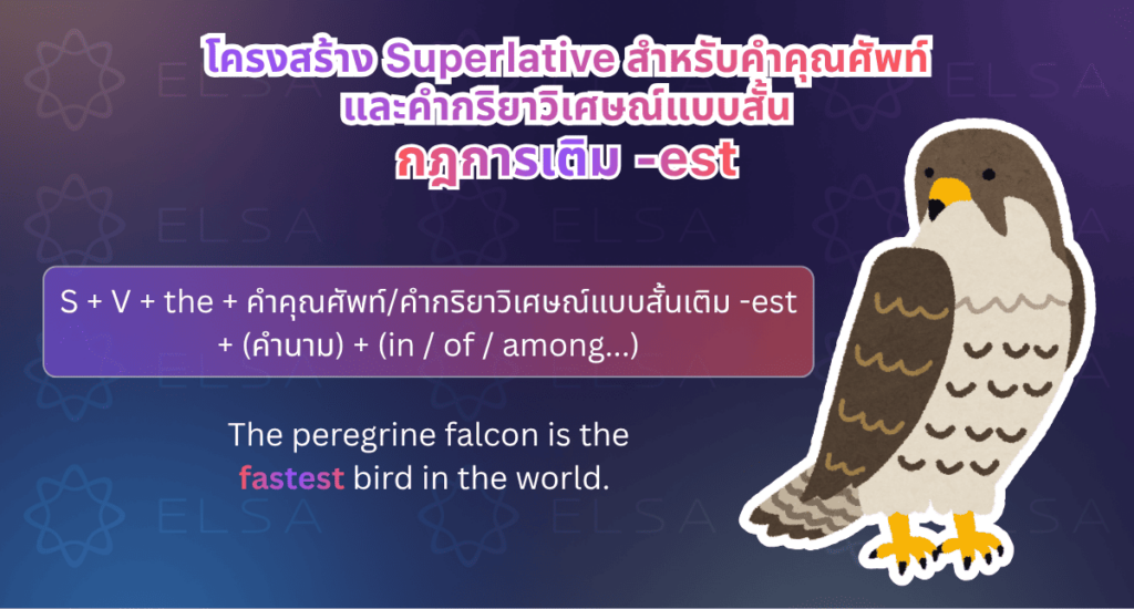โครงสร้าง Superlative กับคำคุณศัพท์แบบสั้นเติม est โครงสร้าง Superlative กับคำคุณศัพท์แบบสั้นเติม est