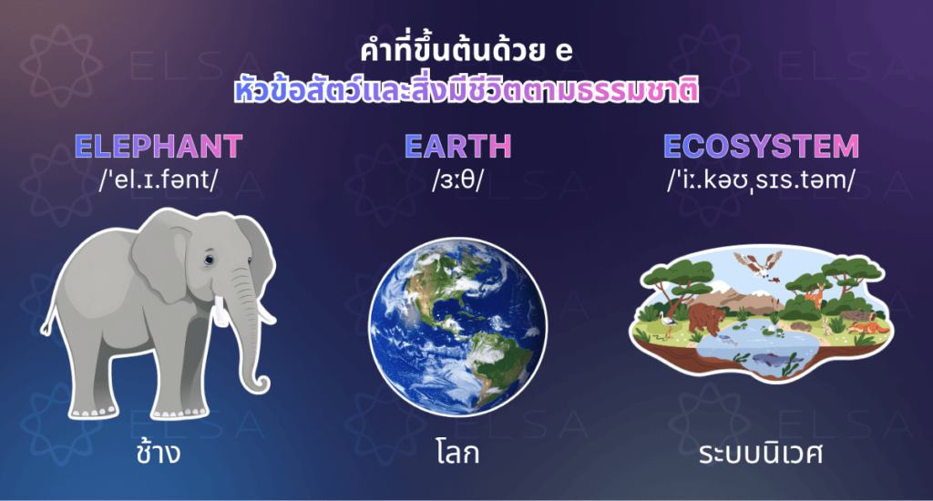 คําที่ขึ้นต้นด้วย e ตามหัวข้อธรรมชาติ คําที่ขึ้นต้นด้วย e ตามหัวข้อธรรมชาติ